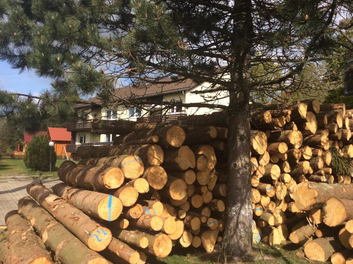 Ferienwohnung Harzblick 1 Braunlage Buitenkant foto
