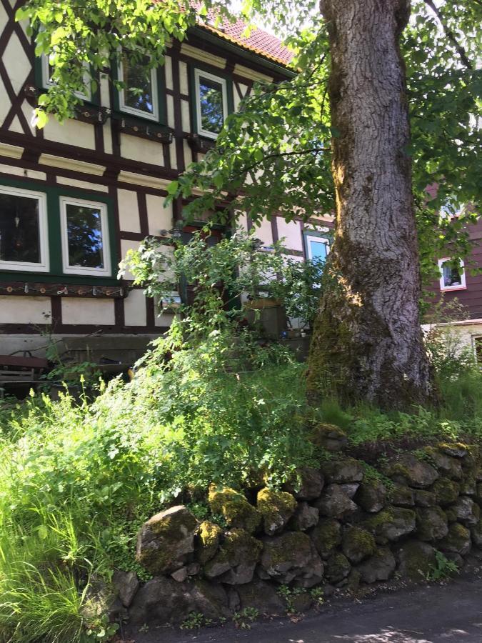 Ferienwohnung Harzblick 1 Braunlage Buitenkant foto