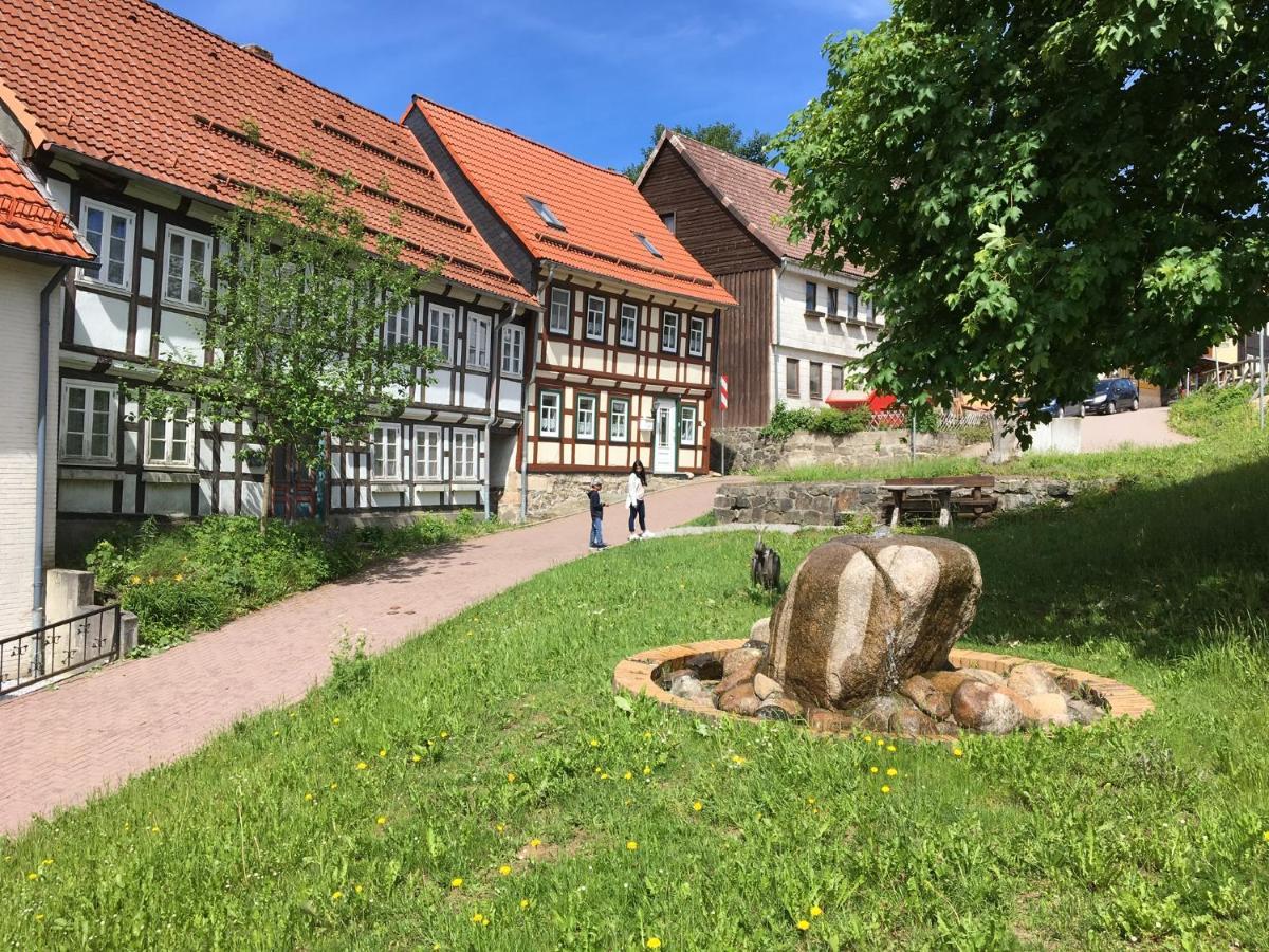Ferienwohnung Harzblick 1 Braunlage Buitenkant foto